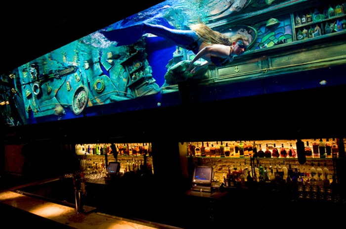 Mermaid Bar at Sacramento | Amusing Planet